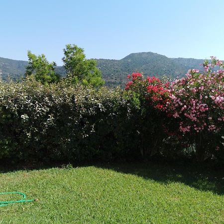 Appartamento Ou Souleou Bormes-les-Mimosas Esterno foto