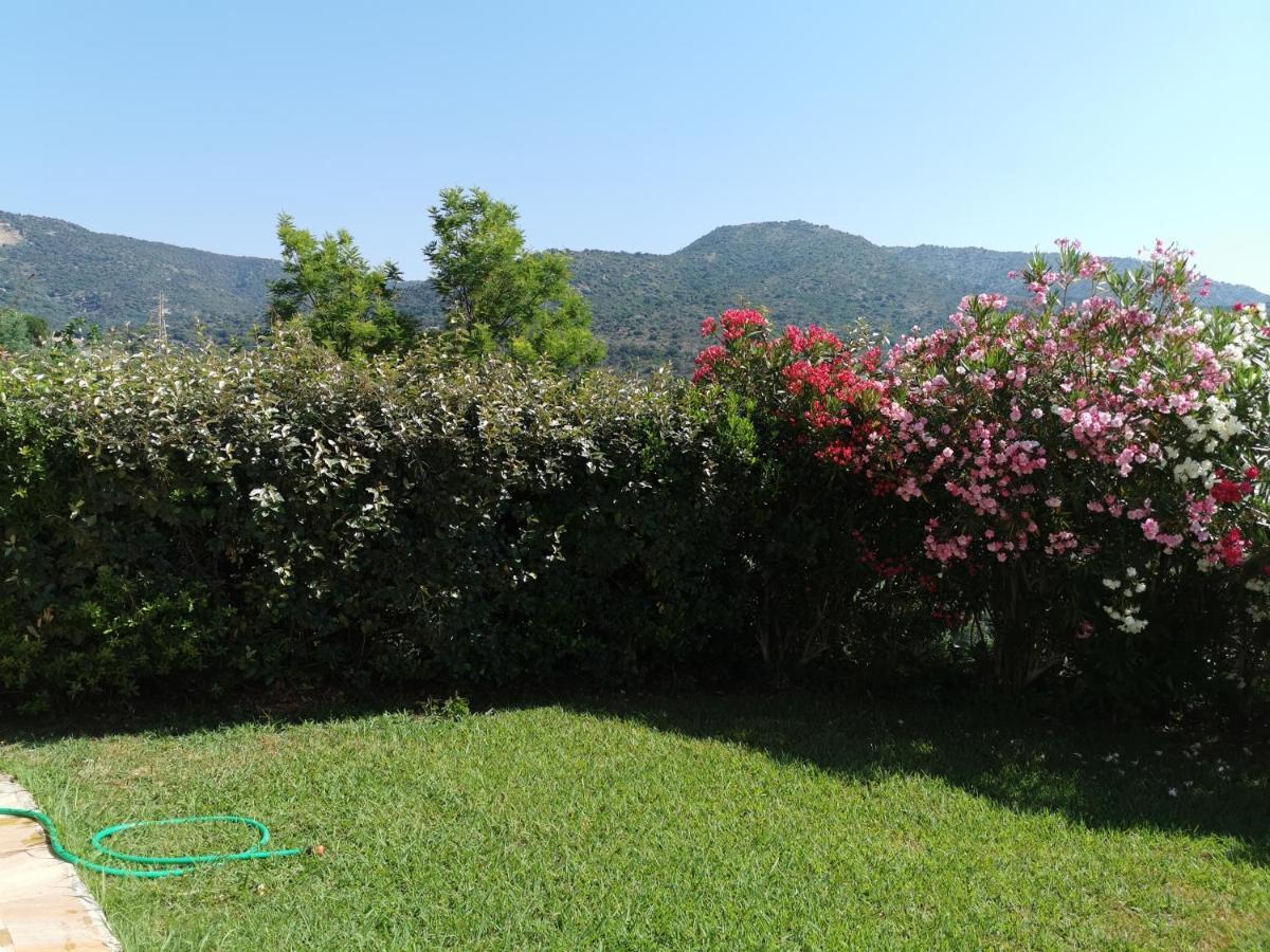 Appartamento Ou Souleou Bormes-les-Mimosas Esterno foto