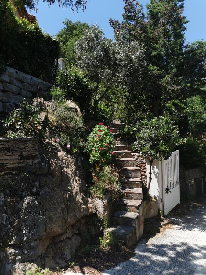 Appartamento Ou Souleou Bormes-les-Mimosas Esterno foto