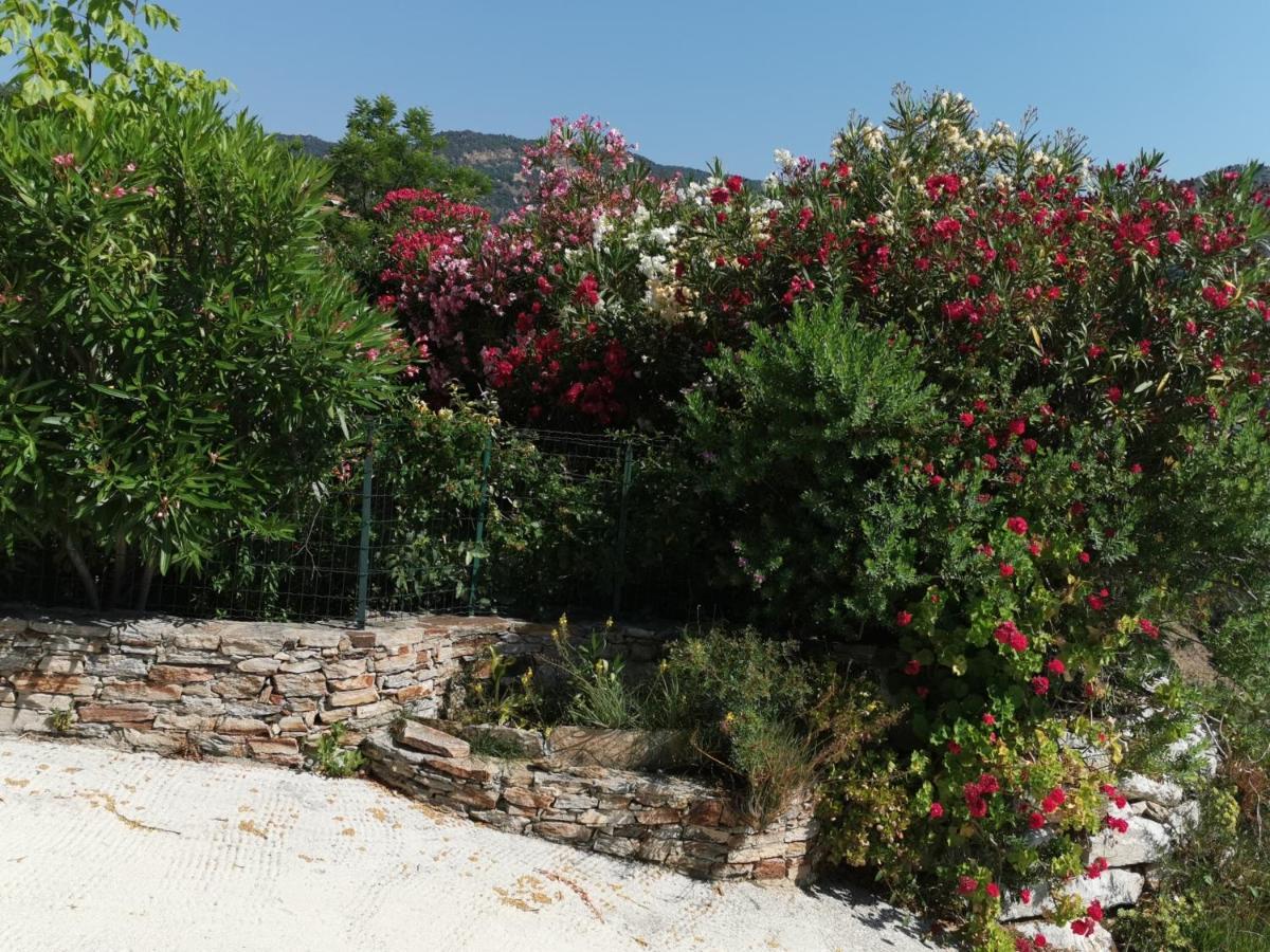 Appartamento Ou Souleou Bormes-les-Mimosas Esterno foto